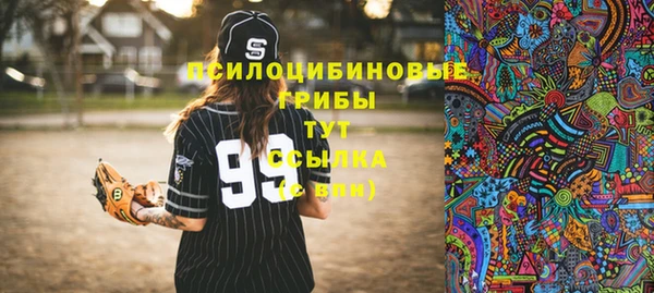 крисы Алексеевка