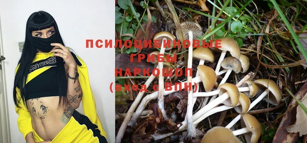 крисы Алексеевка