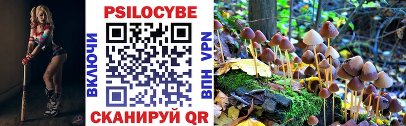 маркетплейс официальный сайт  Лагань  Псилоцибиновые грибы GOLDEN TEACHER  mega tor 